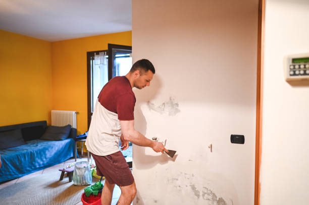 Best Black Mold Removal  in Fayette, MS
