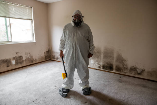 Best Certified Mold Removal  in Fayette, MS